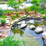 nhung kinh nghiem quan trong de lua chon may bom ho ca koi loc hieu qua chat luong 2