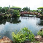 tieu canh ho ca koi san vuon biet thu