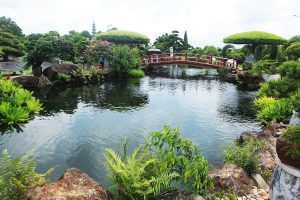 tieu canh ho ca koi san vuon biet thu