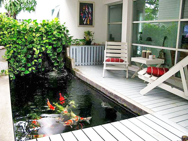 nhung-cach-don-gian-nhat-de-tao-ra-mau-ho-ca-koi-mini-vua-dep-lai-vua-hop-phong-thuy Những cách đơn giản nhất để tạo ra mẫu hồ cá koi mini vừa đẹp lại vừa hợp phong thủy