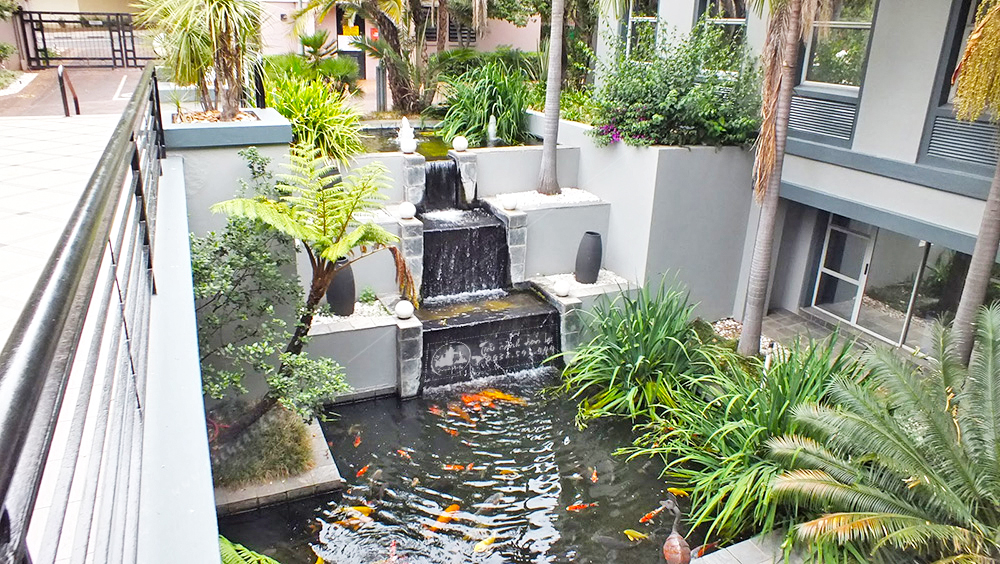 tai-sao-ho-ca-koi-mini-lai-ngay-cang-duoc-cac-gia-dinh-tre-ua-chuong-toi-vay-01 Tại sao hồ cá Koi mini lại ngày càng được các gia đình trẻ ưa chuộng tới vậy ?
